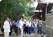 国重要文化財　桂濱神社本殿