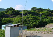中世水軍城　丸子山城跡